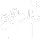 Bonuses and Promos